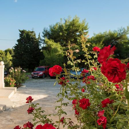 Sun House Apartments Μπολ Εξωτερικό φωτογραφία